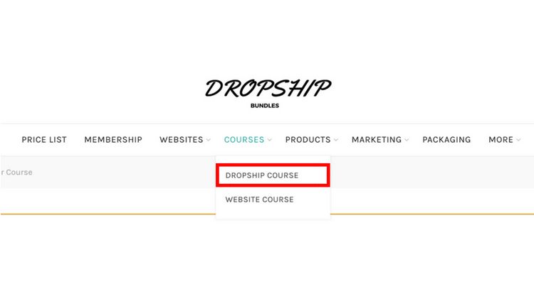 Dropship Course Menu Dropship Course Menu