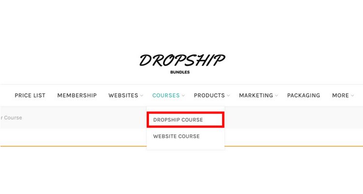 Dropship Course Menu