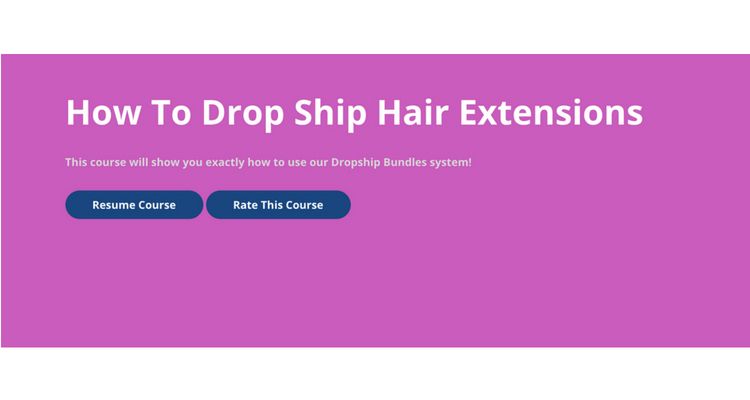 Dropship Course Menu2 Dropship Course Menu2