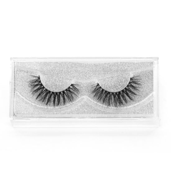 Lash Case Example Lash Case Example