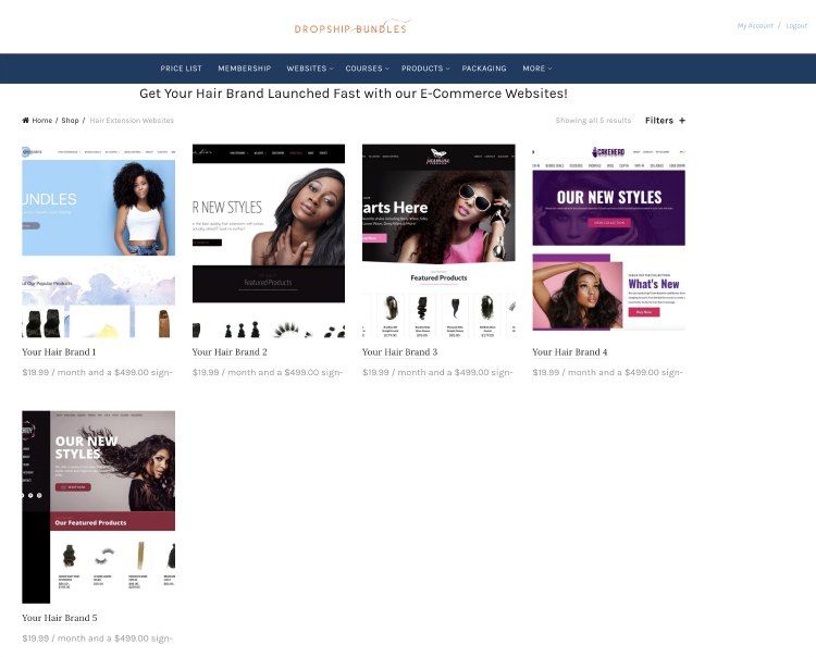DSB websites DSB websites