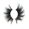 january-lashes