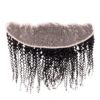 Afro Kinky Curly 13x4 Transparent Frontal - Image 2